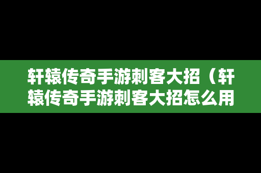 轩辕传奇手游刺客大招（轩辕传奇手游刺客大招怎么用）