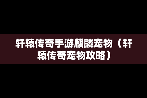 轩辕传奇手游麒麟宠物（轩辕传奇宠物攻略）