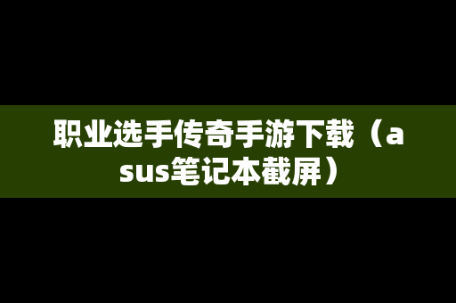 职业选手传奇手游下载（asus笔记本截屏）