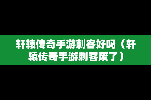 轩辕传奇手游刺客好吗（轩辕传奇手游刺客废了）