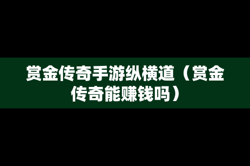 赏金传奇手游纵横道（赏金传奇能赚钱吗）