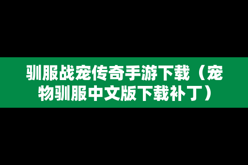 驯服战宠传奇手游下载（宠物驯服中文版下载补丁）